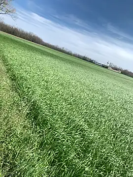 marconordic online show from March 29, 1:11 pm