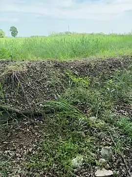 marconordic online show from April 26, 12:57 pm