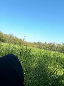 marconordic online show from April 11, 1:03 pm