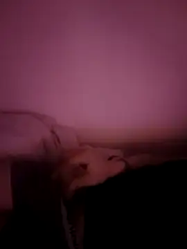 Gitara95 online show from February 7, 2:08 am