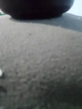 Will13t online show from December 5, 11:23 pm