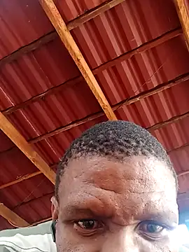 msindo online show from April 9, 6:30 am