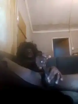 Faysbaakop3 online show from February 10, 4:17 am