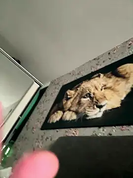 Alexmarcov online show from January 18, 10:17 am