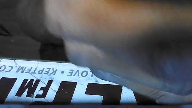 dwick5900 online show from December 18, 3:30 pm