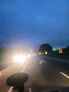 Socorristagato online show from December 13, 9:32 pm