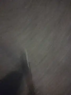 marcoboss online show from April 16, 9:50 pm