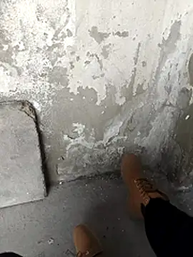 Mar81 online show from February 12, 1:06 pm