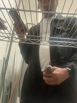 toleronmilk online show from March 31, 9:27 pm