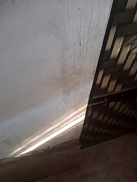 shubhamkumaraoo online show from December 15, 8:55 am