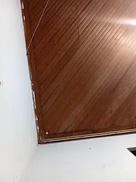 petersolito online show from December 18, 8:21 am