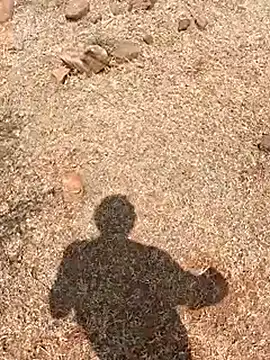 Tamilpaiyan07 online show from February 17, 6:01 am