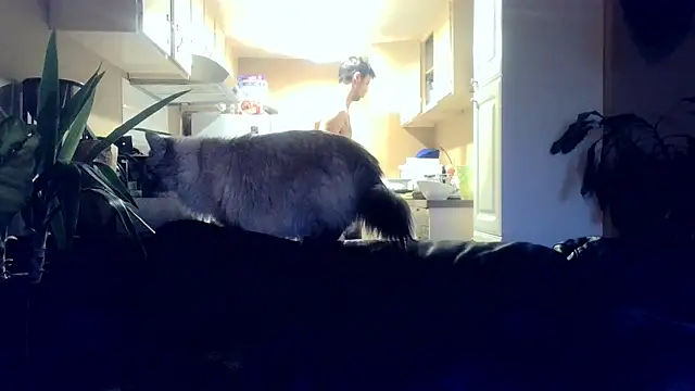 skateboardskate online show from January 16, 12:13 am