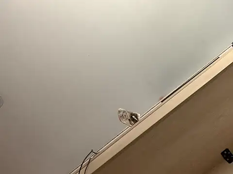 Erotic-Canvas69 online show from March 12, 11:51 am