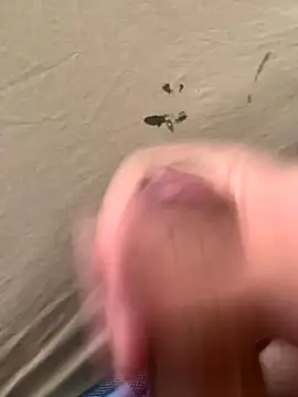 Dhediboy online show from January 6, 7:51 pm