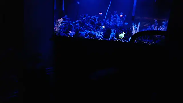 EspanolVato online show from March 6, 10:23 am