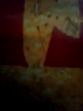 CockForPussy1508 online show from February 10, 6:40 am