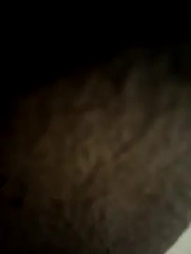 kingEgyptianRr online show from February 13, 7:19 pm