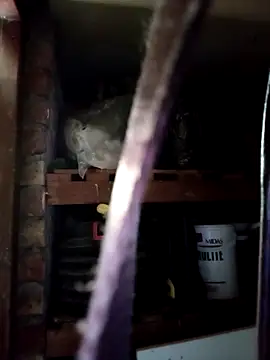 dicklife3485 online show from February 17, 8:57 am