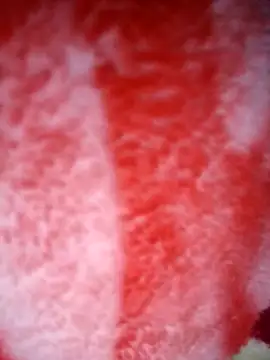 Joker12085 online show from February 8, 11:42 pm