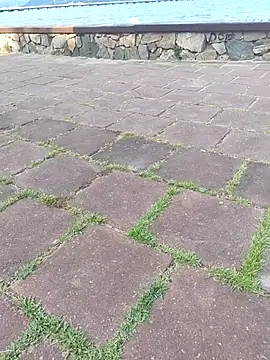 Gustavo52367 online show from February 20, 7:26 pm