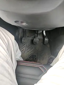 3D-telugu online show from February 8, 8:53 am