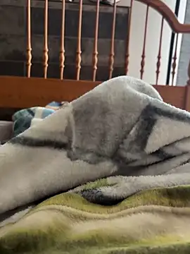 CollegeBull19 online show from February 25, 7:26 pm