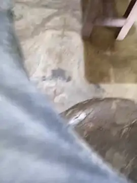 Desicpl15 online show from April 28, 7:57 am