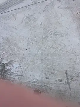 stallone italiano 62 online show from February 8, 11:05 am