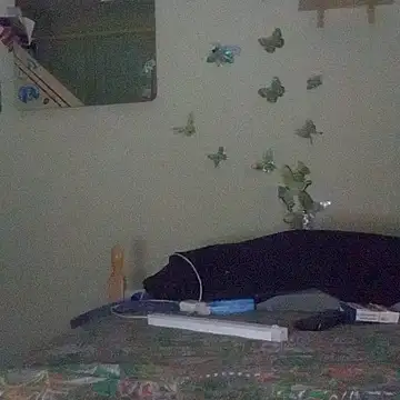 Porcellini2269 online show from April 16, 9:26 pm