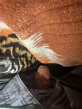 americat26 online show from February 15, 7:14 am