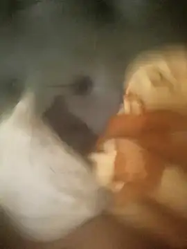 InferredPloce online show from April 23, 11:18 pm