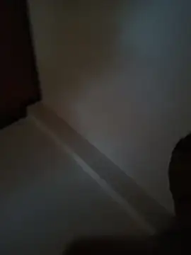 El pingon 20 cm online show from March 4, 11:28 am