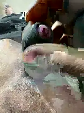 puneBC online show from April 13, 8:04 am