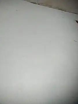 dih01 online show from April 4, 3:53 pm