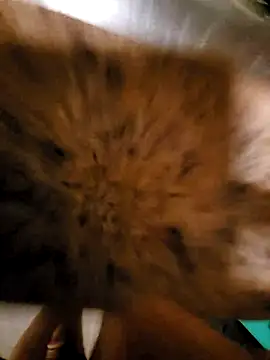 DavidCopafeel online show from March 23, 4:18 am