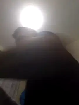 Arrecho3-0 online show from April 24, 8:16 am