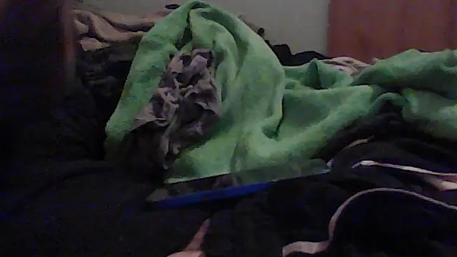 mikeylong online show from October 29, 3:48 pm