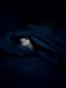 sarpe4 online show from April 16, 3:17 am