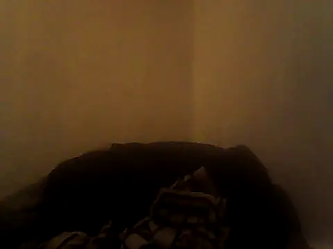 Jarochoca online show from November 8, 9:01 am