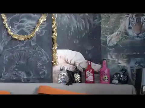 viking 30 online show from February 20, 6:48 am