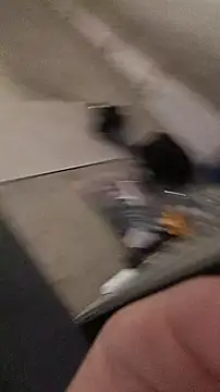 Krasav4ik4ik online show from September 20, 10:43 pm