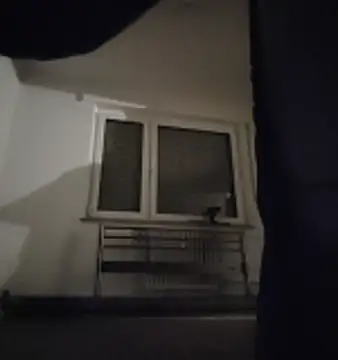 GermanBigDream online show from February 3, 7:30 pm