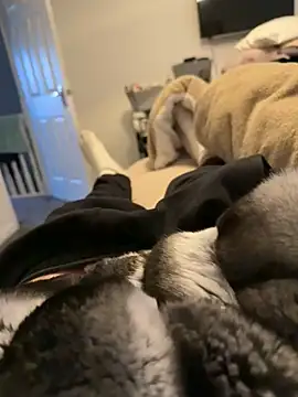 Furdale online show from March 12, 5:20 pm