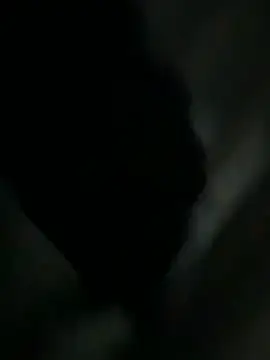 Furdale online show from February 25, 4:52 pm