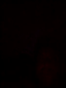 QUIEROTUCULO1987 online show from September 27, 2:15 pm