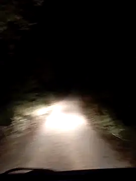 pedrosantos3366 online show from September 20, 9:37 pm