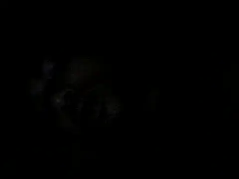 chittagong77 online show from October 23, 7:06 pm