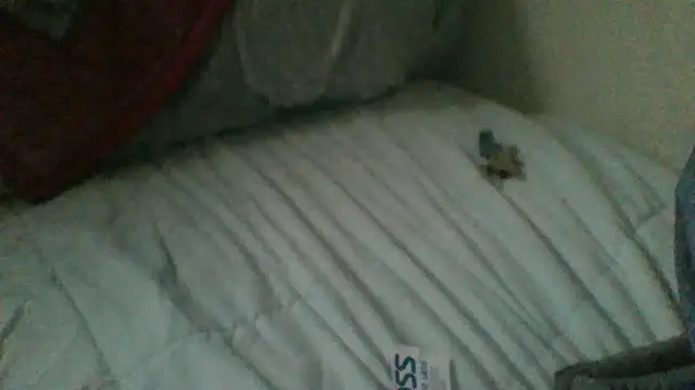 BIG-CkD F online show from December 19, 4:59 pm