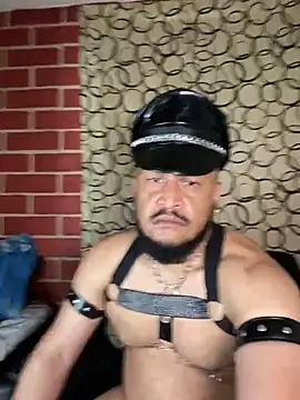 the master foal  online show from March 10, 8:15 pm